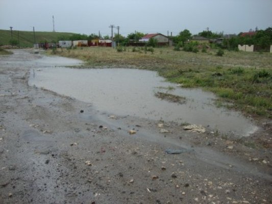 E dezastru la Hârşova: 1.000 de hectare sunt inundate. Apele Române monitorizează situaţia sau e haos general?